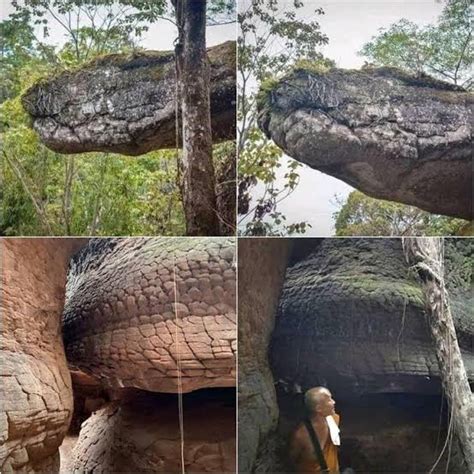 cave in thailand that looks like a snake|Tham Naga